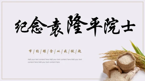 节约粮食，世界粮食日通用PPT模板