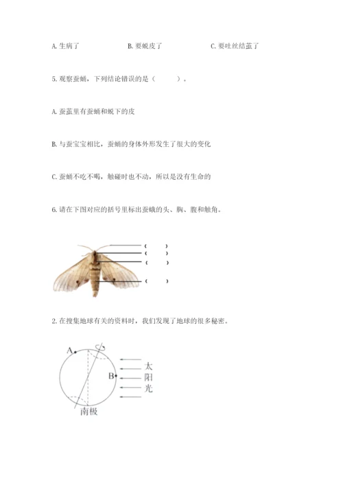 教科版小学科学三年级下册 期末测试卷（含答案）.docx