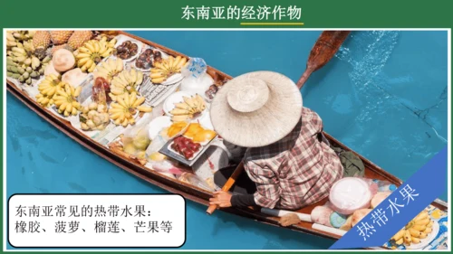 7.2 东南亚（课件53张）-七年级地理下册（人教版）