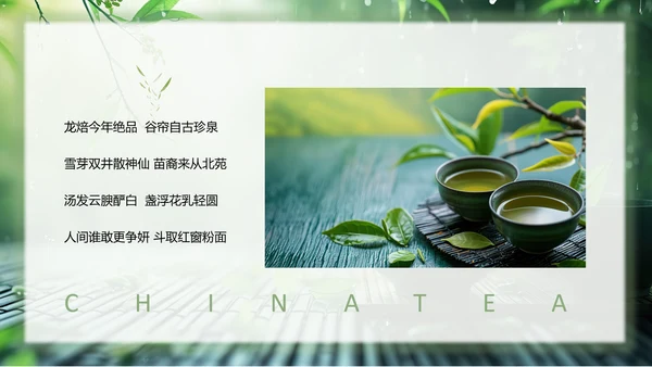 春茶通用PPT模板