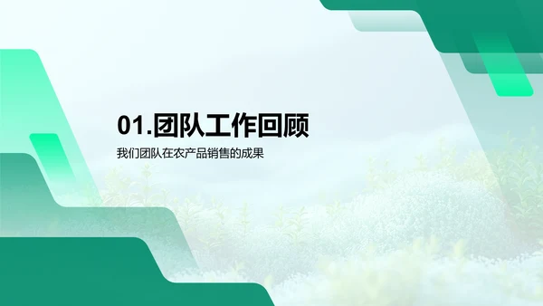 农产品销售总结PPT模板