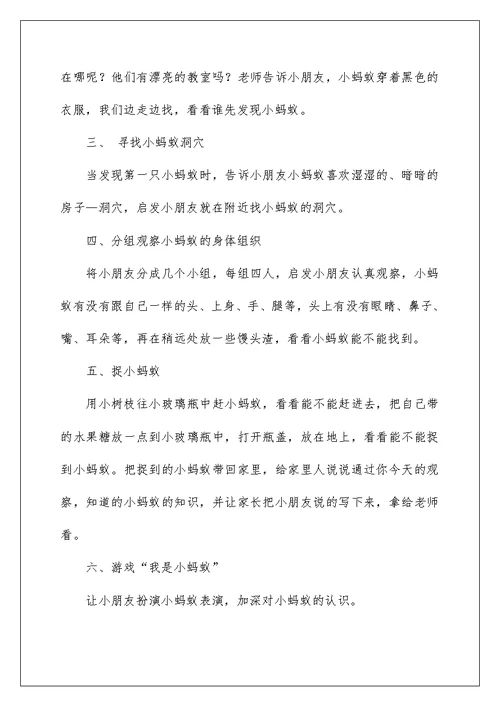 2022《蚂蚁》教案5篇