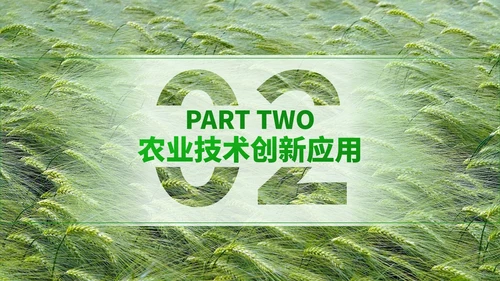 深绿色商务风芒种技术培训农业管理与创新实践ppt模板
