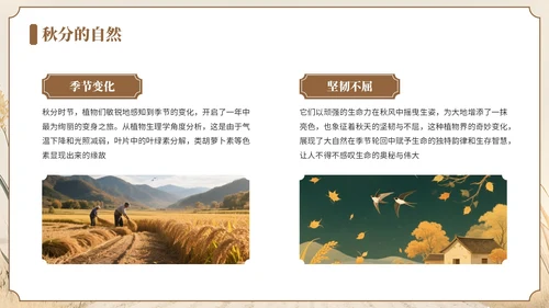褐色中国风风格秋分节气介绍PPT模板