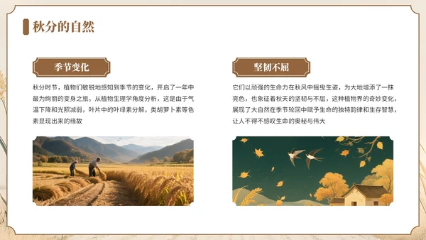 褐色中国风风格秋分节气介绍PPT模板