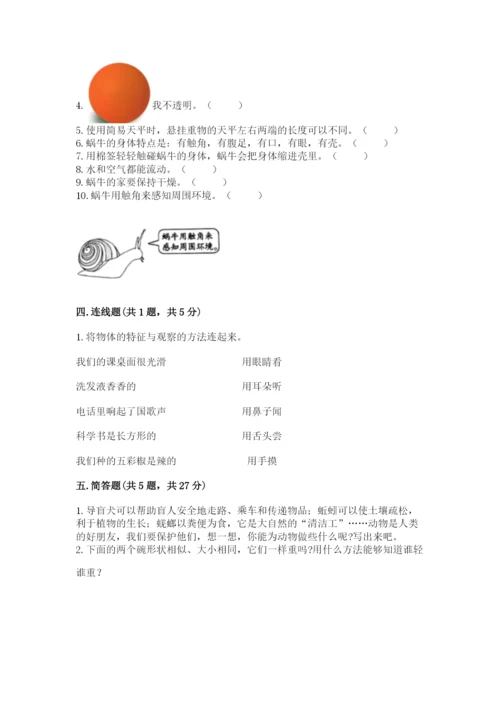 教科版一年级下册科学期末测试卷精品（巩固）.docx