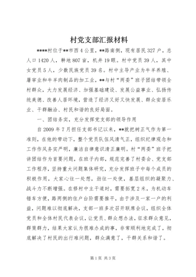 村党支部汇报材料.docx