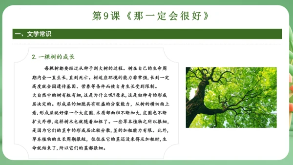统编版2024三年级语文上册第三单元复习   课件