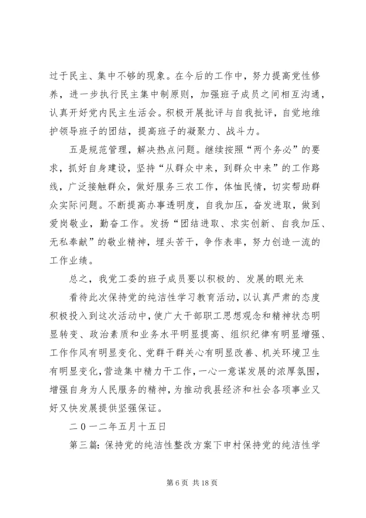 保持党的纯洁性整改提高方案.docx
