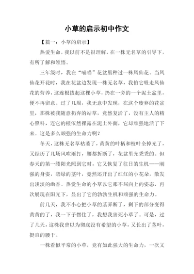 小草的启示初中作文.docx