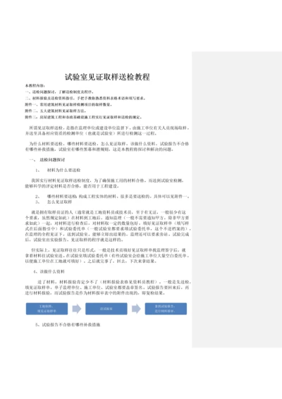 试验室见证取样送检教程.docx