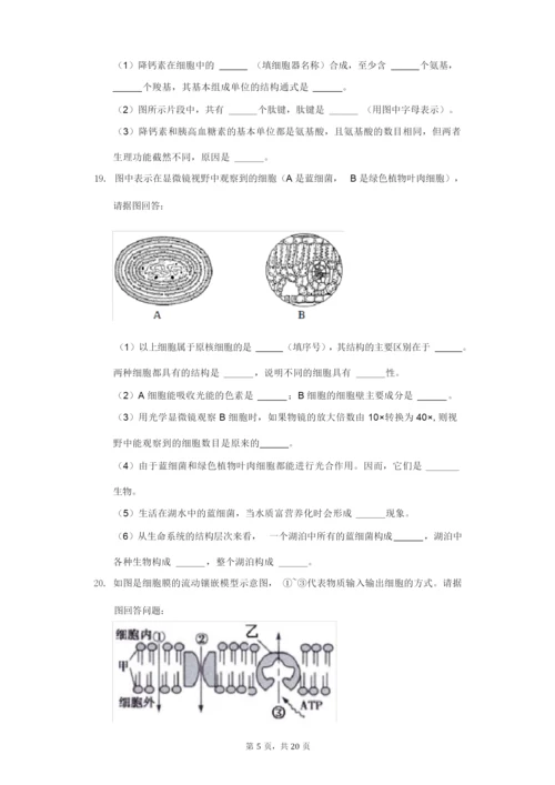 2021-2022学年广东省揭阳市揭东区高一(上)期末生物试卷(附答案详解).docx