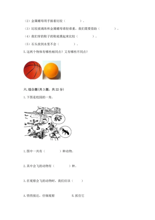 教科版一年级下册科学期末测试卷含完整答案（夺冠）.docx