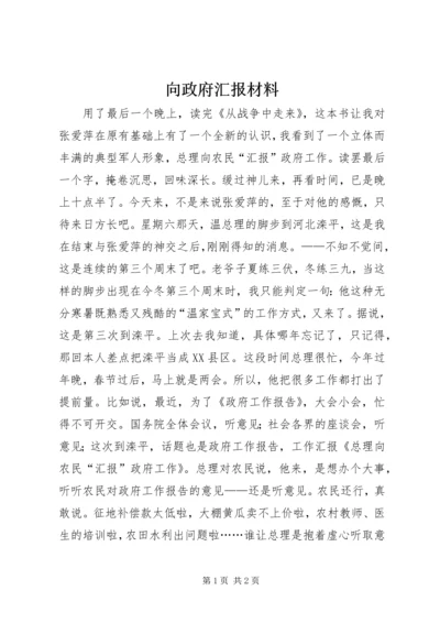 向政府汇报材料 (5).docx