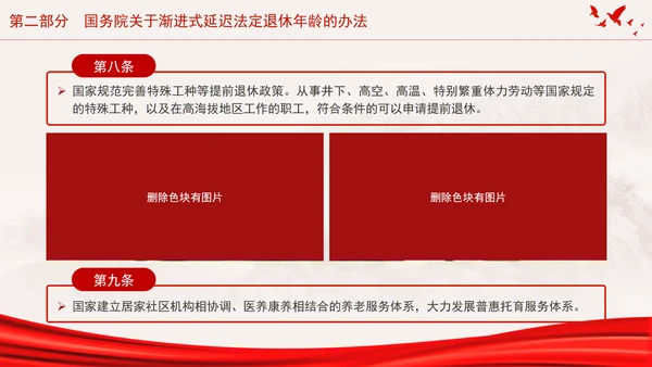 全国人大常委会关于实施渐进式延迟法定退休年龄的决定专题党课PPT