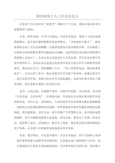 国培研修个人工作总结范文.docx