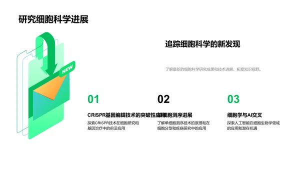 高中生物细胞探索