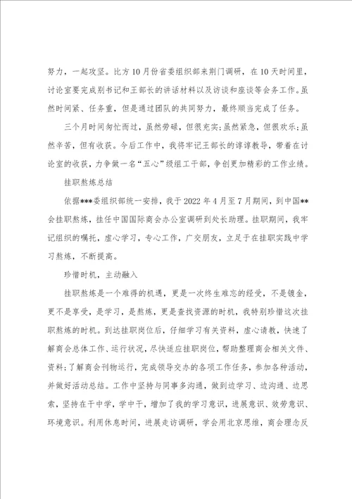 挂职锻炼总结