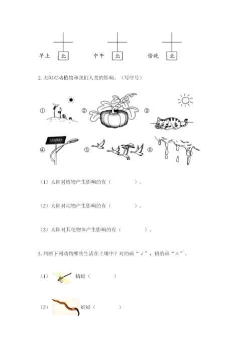 教科版科学二年级上册期末测试卷及答案【最新】.docx