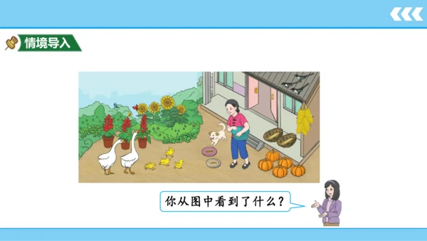 人教版数学一年级上册3 5以内数的认识和加减法第1课时 1~5的认识  课件（共19张PPT）
