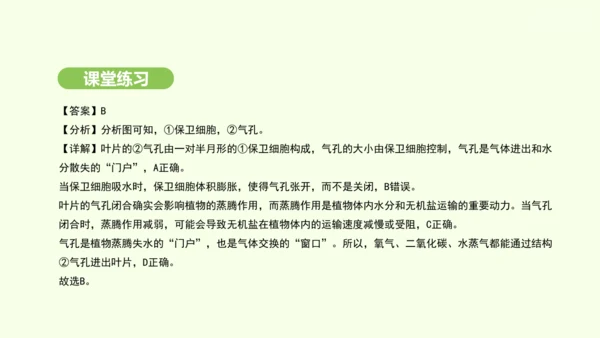 第三单元-第二章-第一节-水的利用与散失课件-2024-2025学年七年级生物下学期人教版(2024