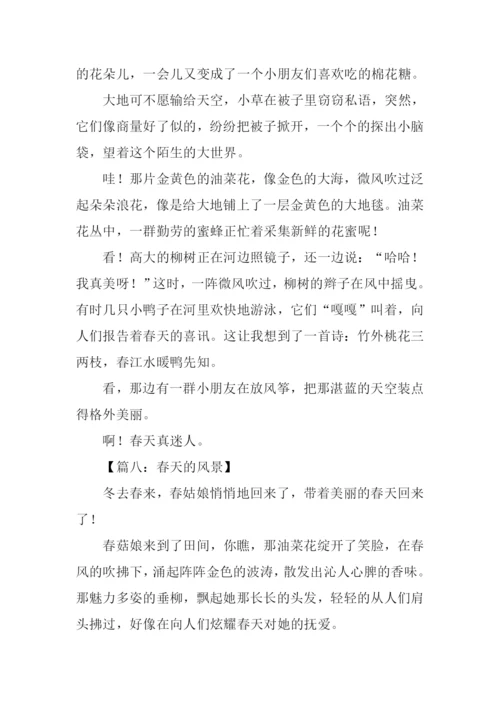 春天的风景作文300字.docx