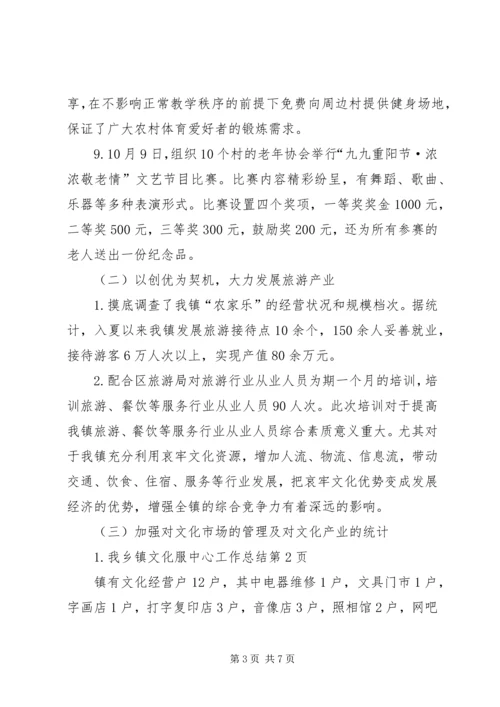 乡镇文化服中心工作总结.docx