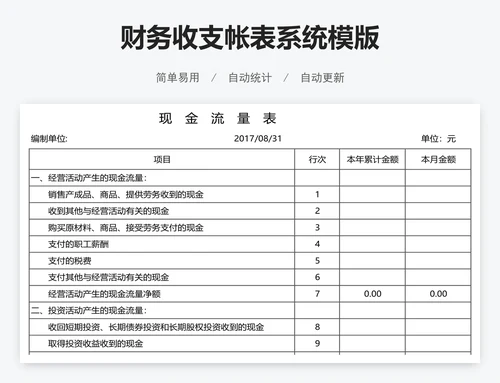 财务收支帐表系统模版