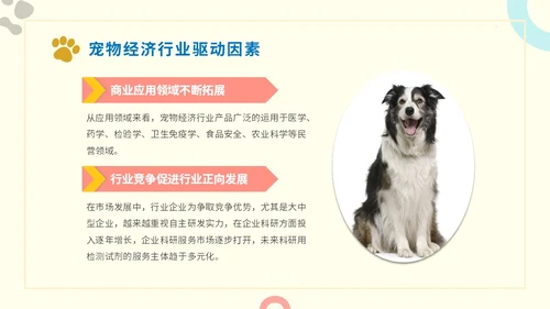 简约实图狗宠物经济行业前景分析报告汇报模板