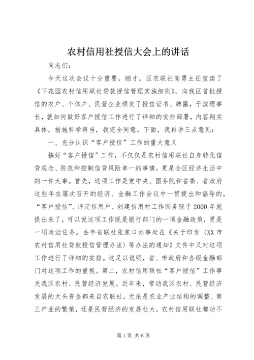 农村信用社授信大会上的讲话.docx