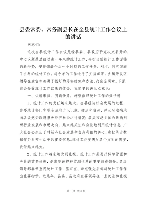 县委常委、常务副县长在全县统计工作会议上的讲话.docx