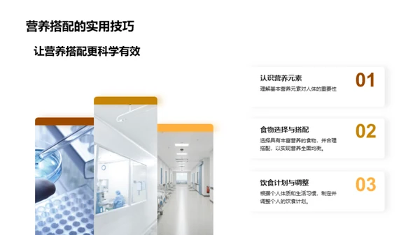 饮食与养生介绍