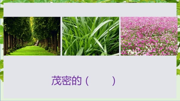 第11课《葡萄沟》课件