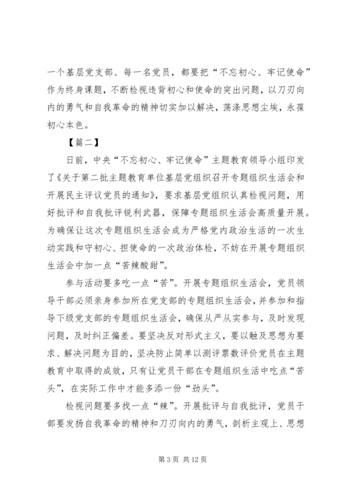 关于如何开好第二批主题教育组织生活会的网评五篇.docx