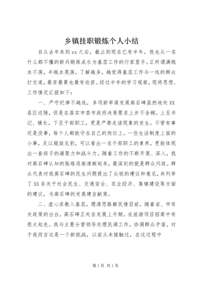 乡镇挂职锻炼个人小结.docx