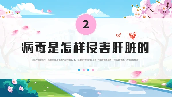 全国爱肝日肝病知识宣传PPT模板