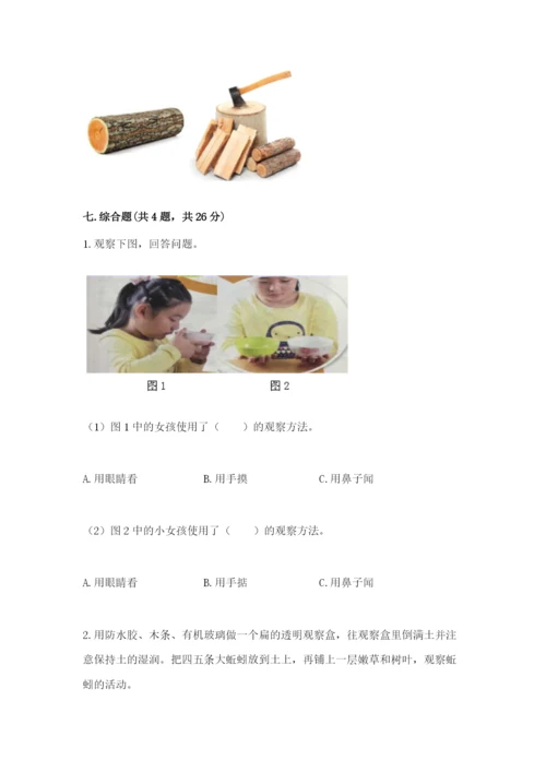 教科版科学二年级上册期末考试试卷【综合题】.docx