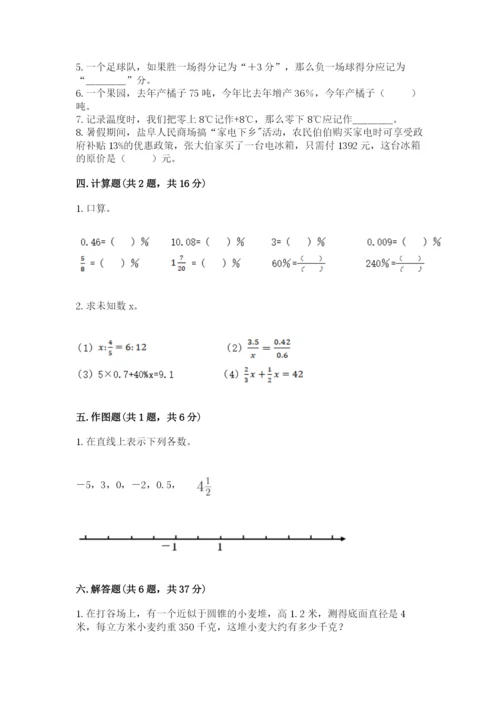 杂多县六年级下册数学期末测试卷（精练）.docx