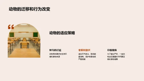 寒露季节的自然奥秘