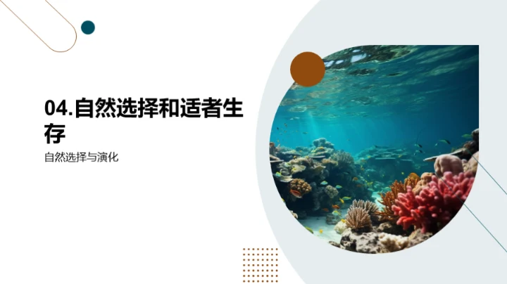 生物演化与多样性