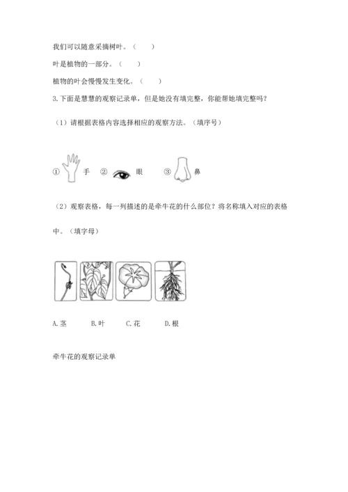 教科版科学一年级上册第一单元《植物》测试卷（必刷）word版.docx