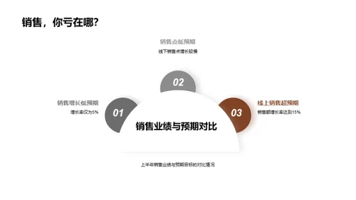 20XX年度销售及战略解析