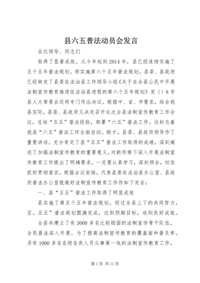 县六五普法动员会发言.docx