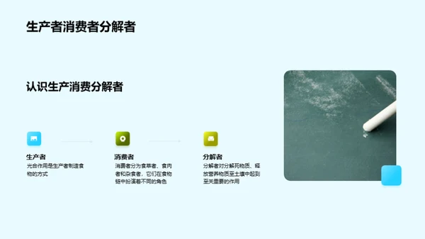 深度解析食物链