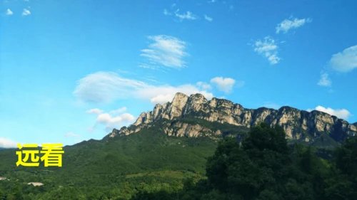 9. 古诗三首 第二课时 课件