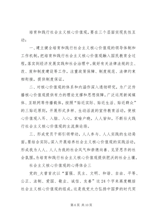 社会主义核心价值观的心得体会多篇.docx