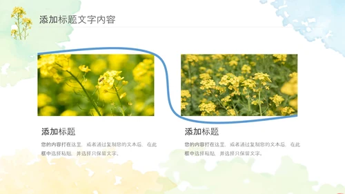 春天乡村旅游油菜花风景油菜花田PPT模板