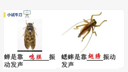 【大单元教学】2.1精品课件：声音的产生与传播（44页，内嵌视频）
