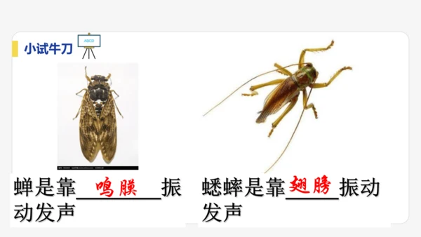【大单元教学】2.1精品课件：声音的产生与传播（44页，内嵌视频）