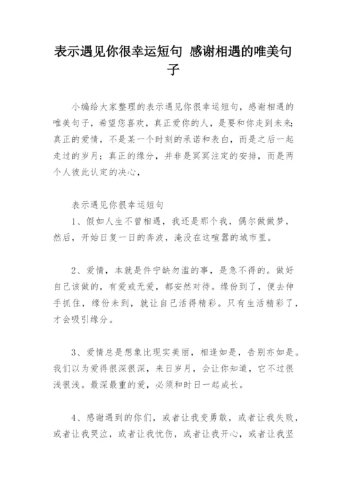 表示遇见你很幸运短句 感谢相遇的唯美句子.docx